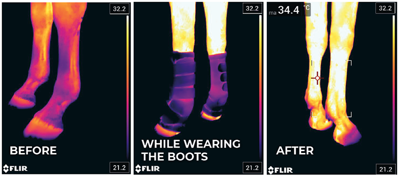 Kentucky Horsewear Magnetic Stable Bandage Pads - Nags Essentials