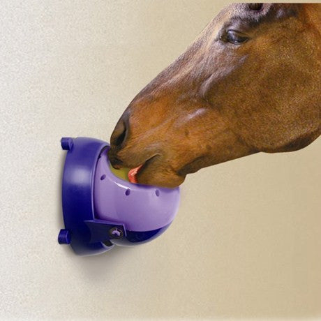 Likit Tongue Twister - Nags Essentials