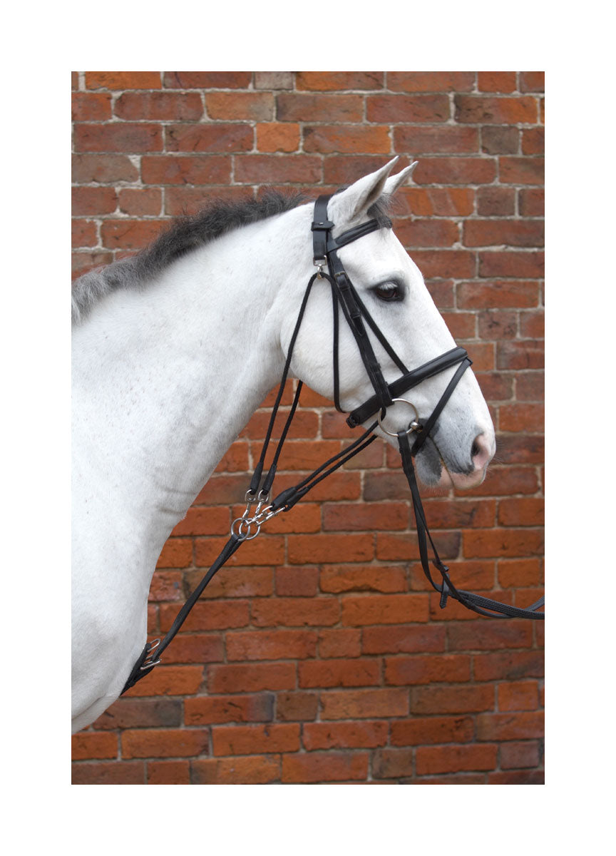 Hy De Gouge - Nags Essentials