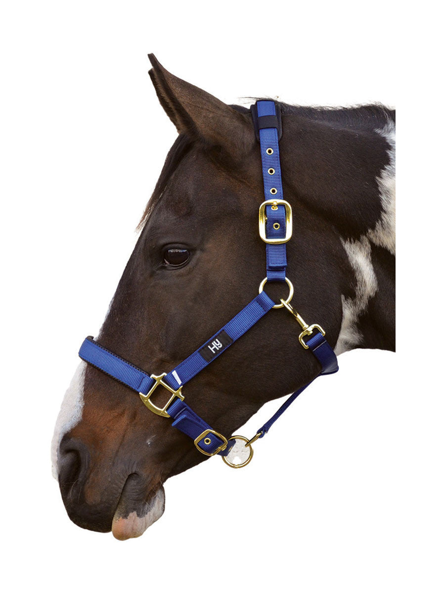 Hy Deluxe Padded Head Collar - Nags Essentials