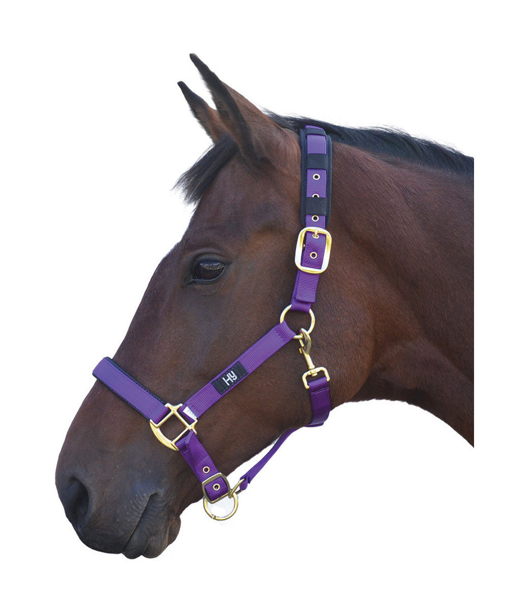Hy Deluxe Padded Head Collar - Nags Essentials