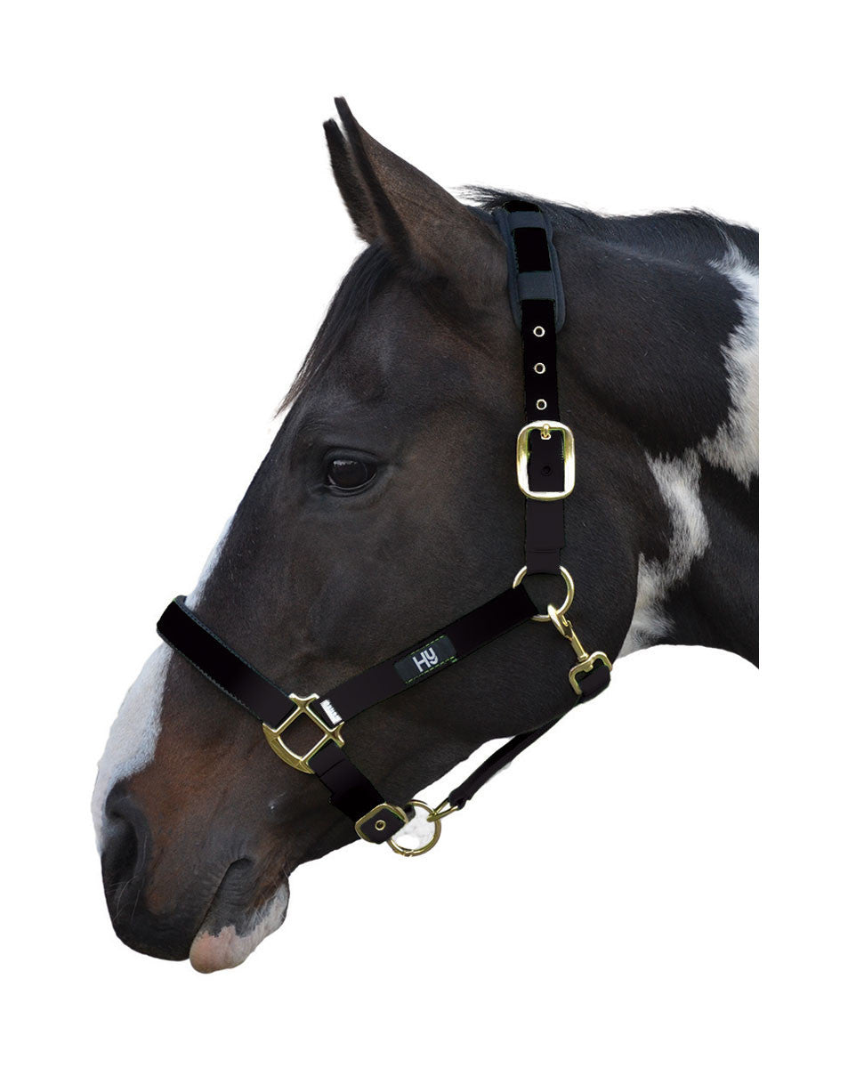 Hy Deluxe Padded Head Collar - Nags Essentials