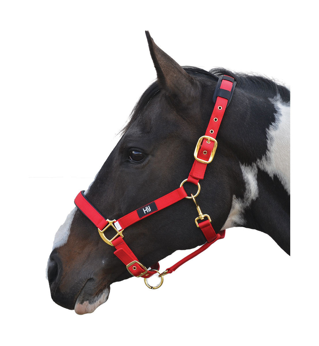 Hy Deluxe Padded Head Collar - Nags Essentials