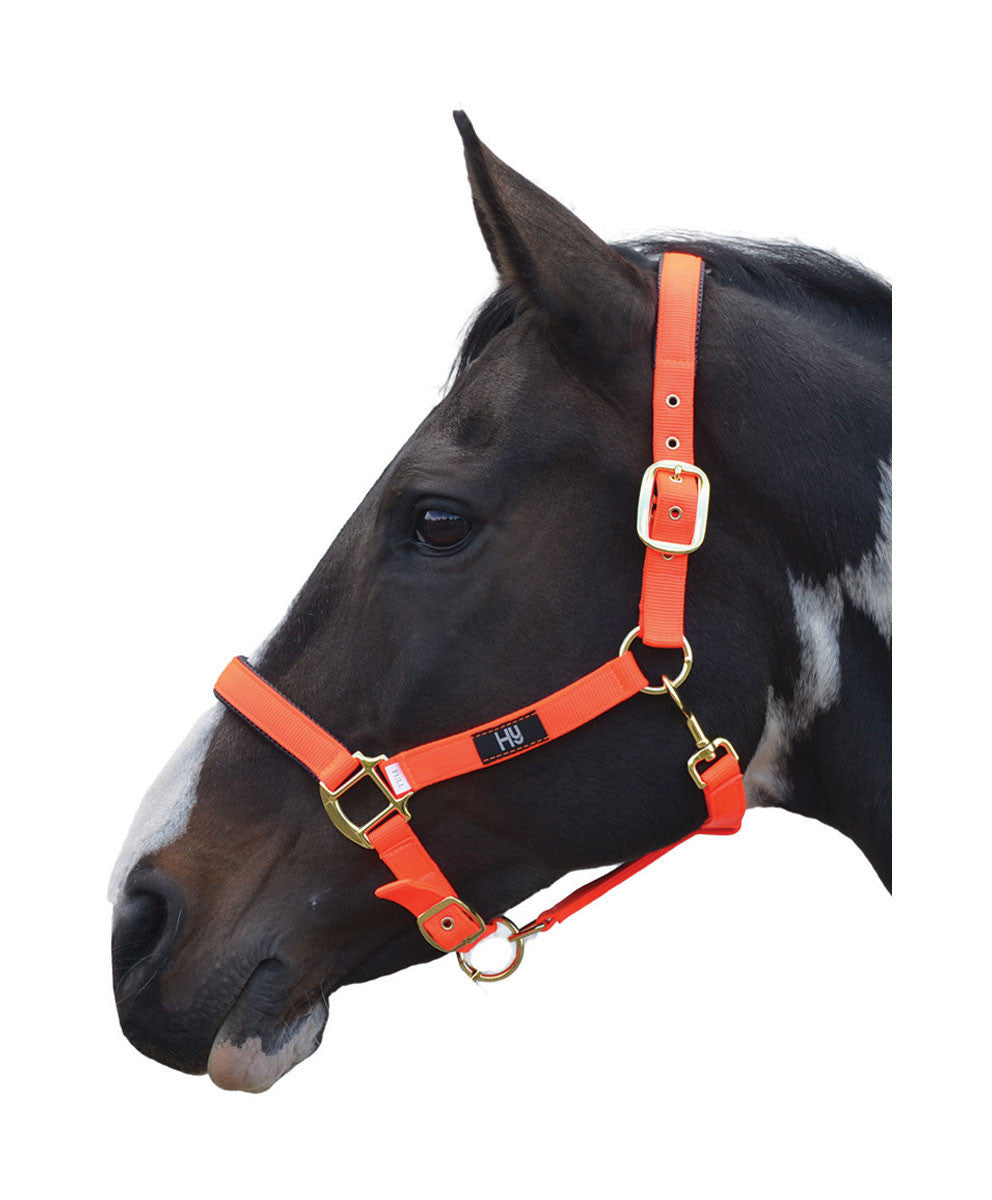 Hy Grand Prix Head Collar - Nags Essentials