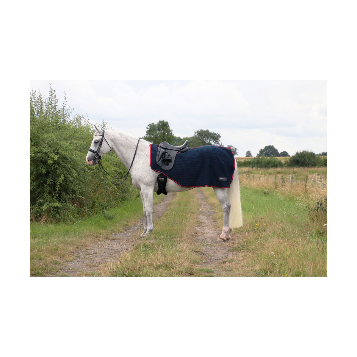 DefenceX System Cool Control Exercise Sheet - Navy