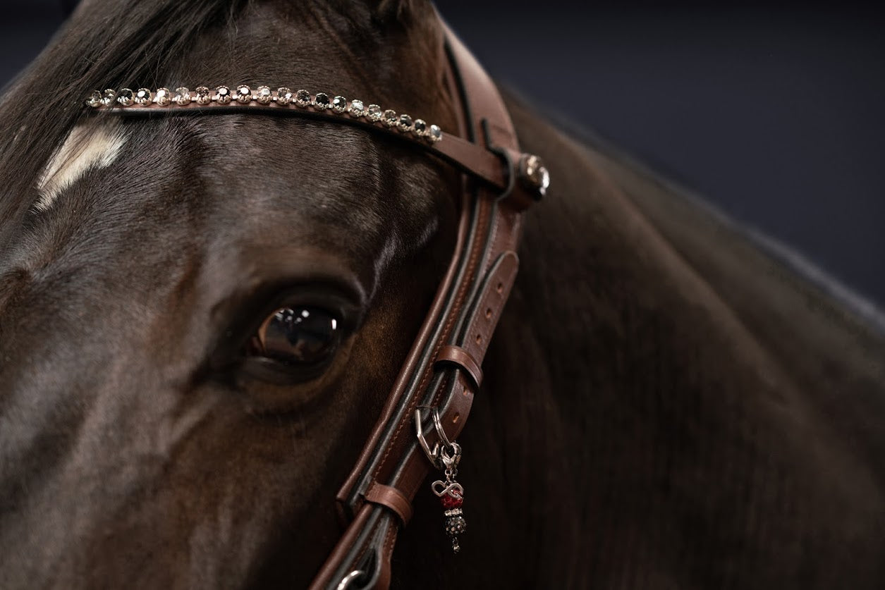 PresTeq FaySport Anatomical Bridle - Nags Essentials