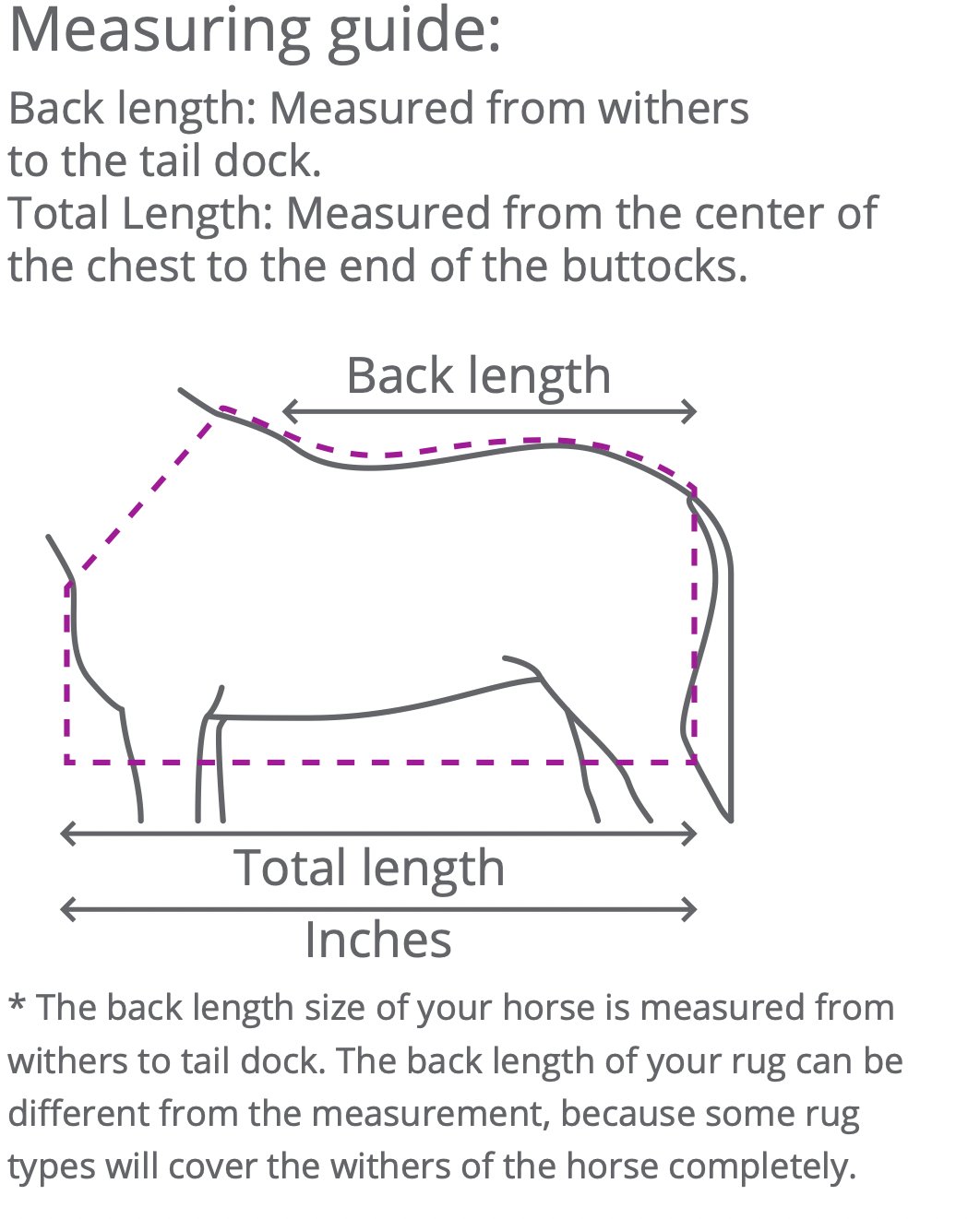 Turnout Rug Luxury 300gr - Nags Essentials