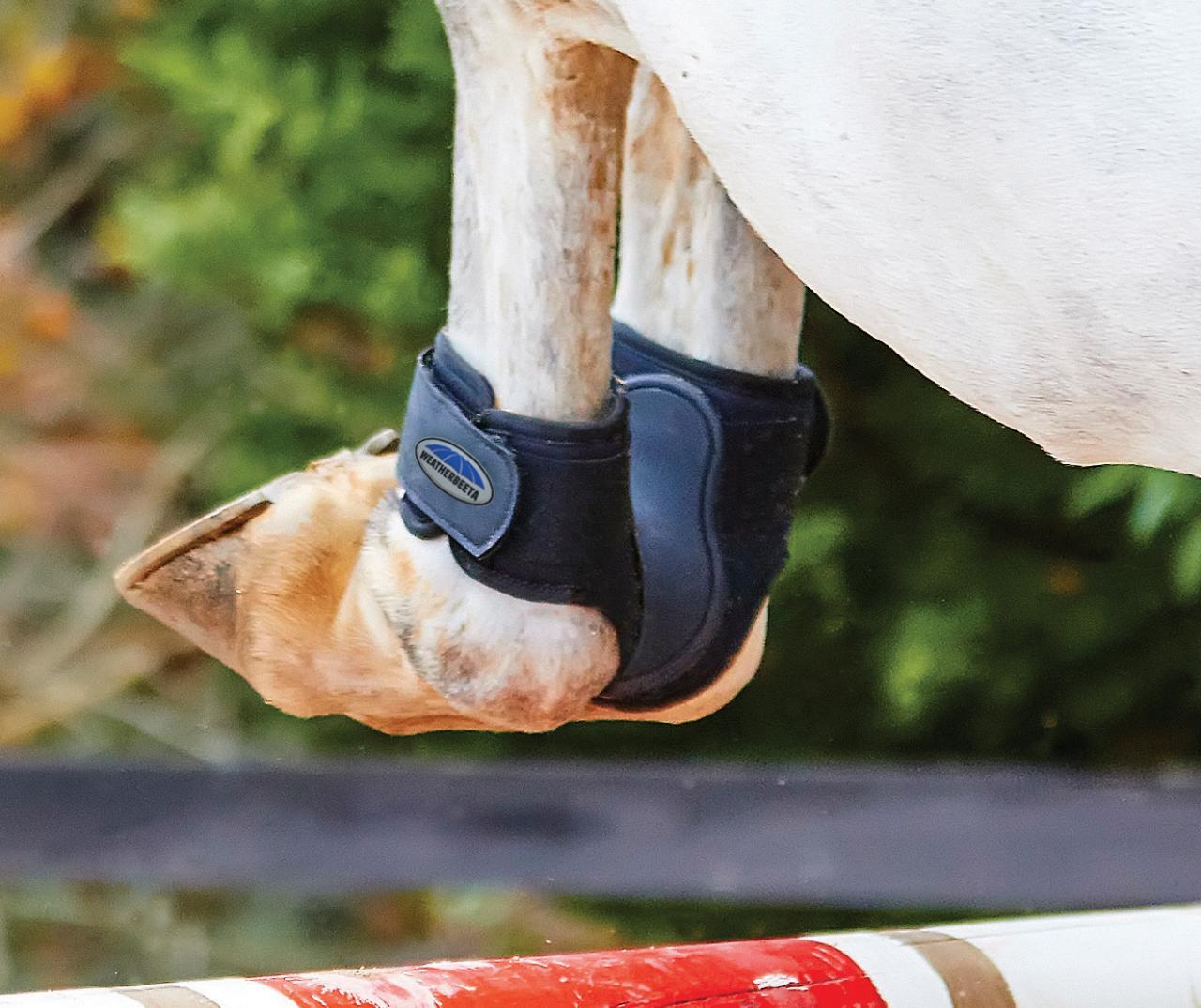 Weatherbeeta Dynamic Fetlock Boots - Nags Essentials
