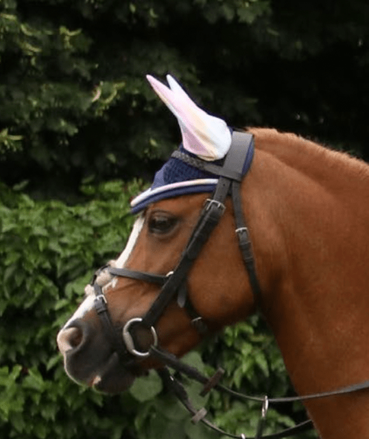 Dazzling Dream Fly Veil by Little Rider - Nags Essentials