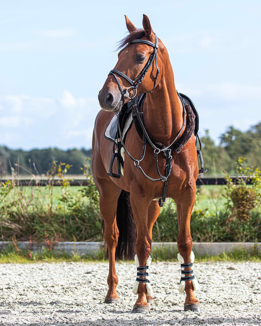 Fur Rein Covers - Nags Essentials