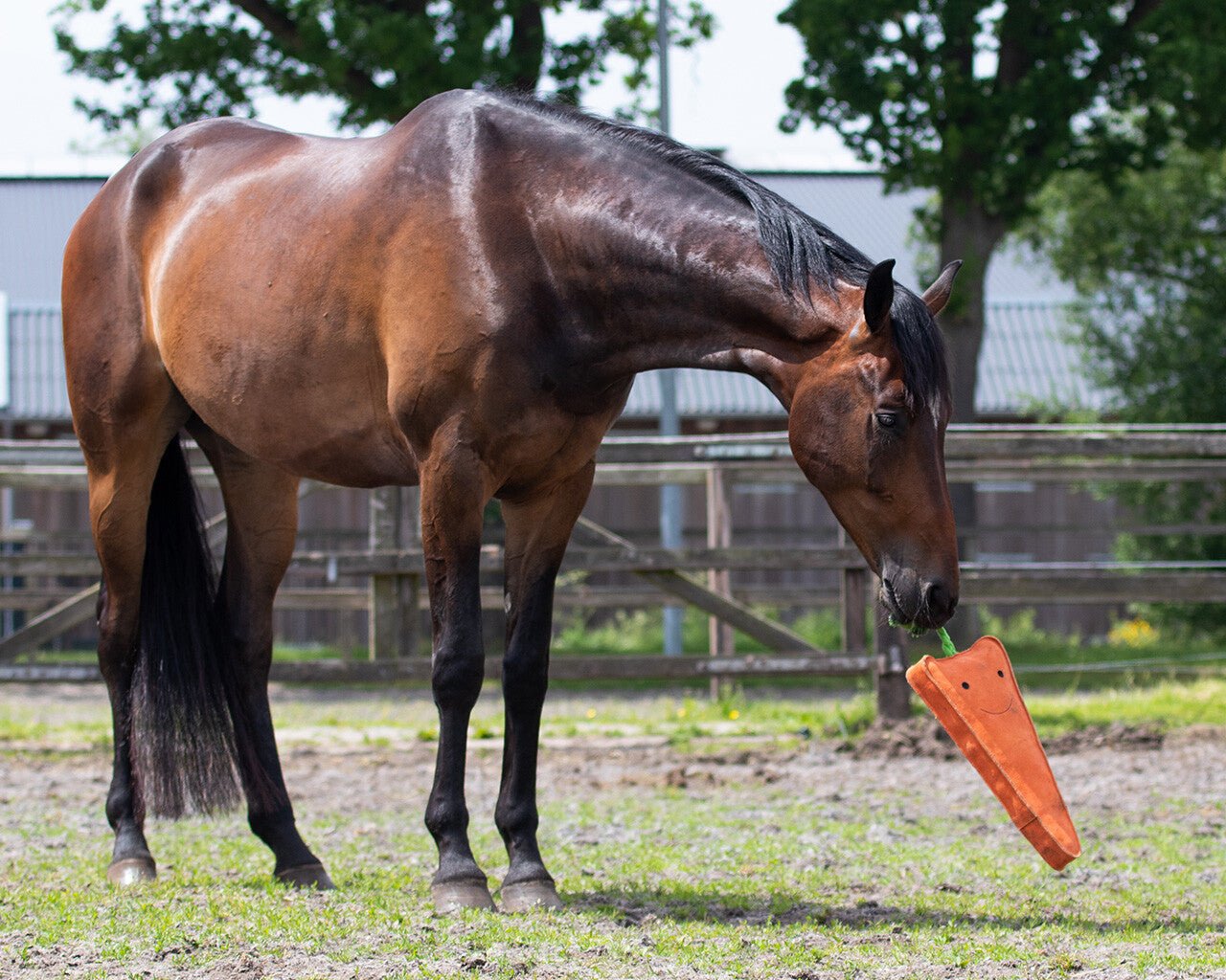 Horse Toy XL - Nags Essentials