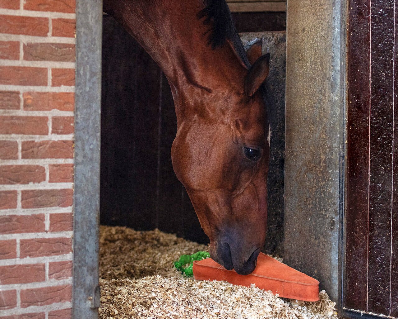 Horse Toy XL - Nags Essentials