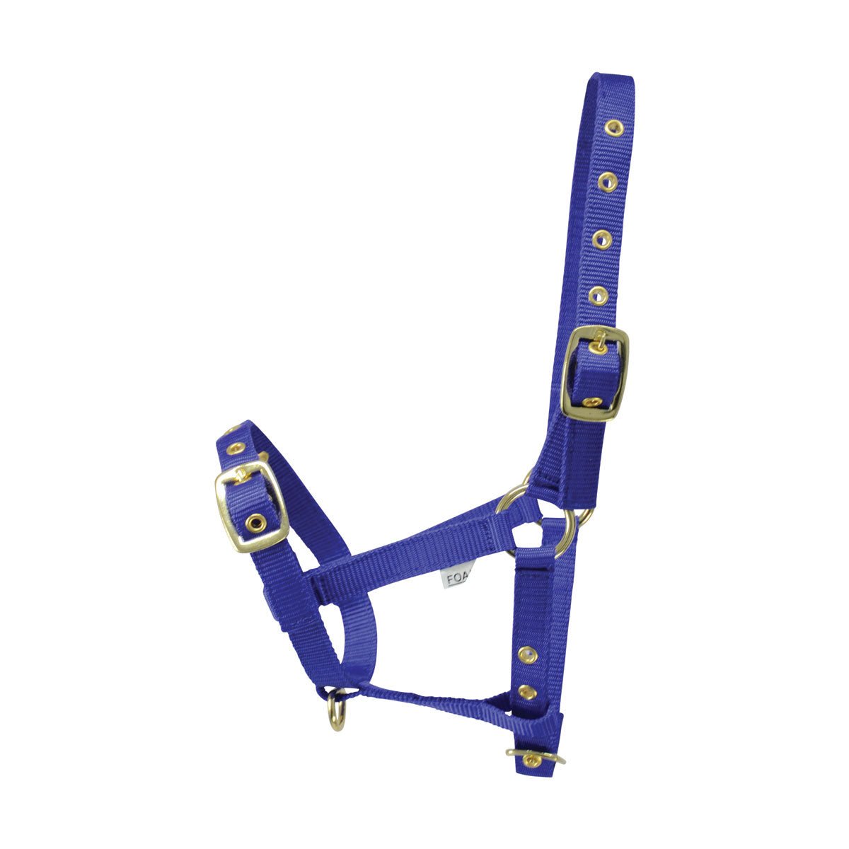 Hy Foal Head Collar - Nags Essentials
