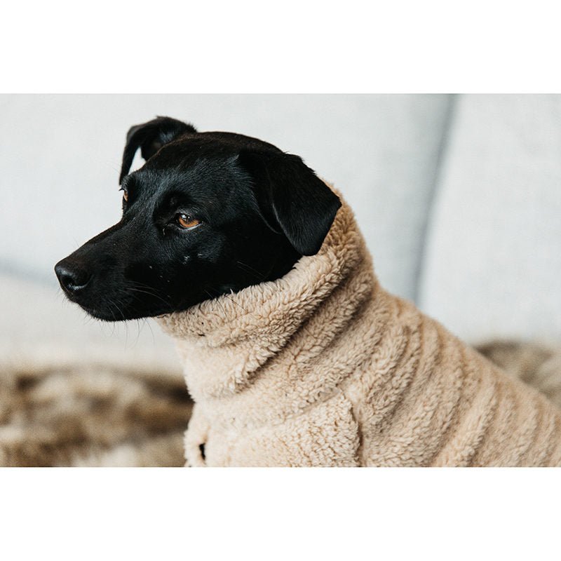 Kentucky Dog Coat Teddy Fleece - Nags Essentials