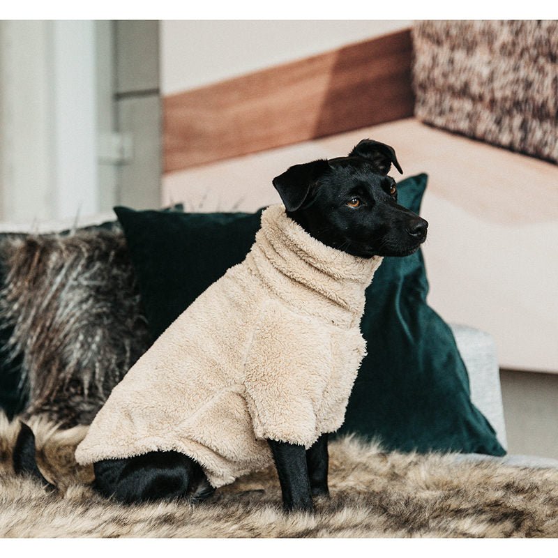 Kentucky Dog Coat Teddy Fleece - Nags Essentials