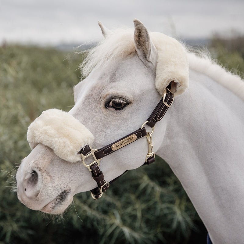 Kentucky Leather Halter Sheepskin - Nags Essentials