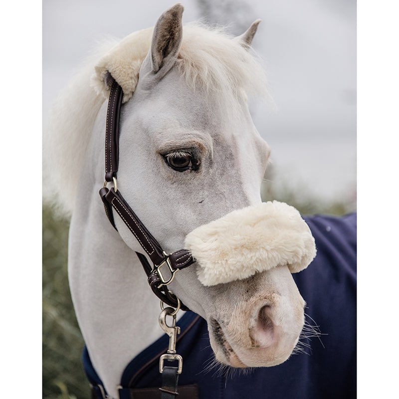 Kentucky Leather Halter Sheepskin - Nags Essentials