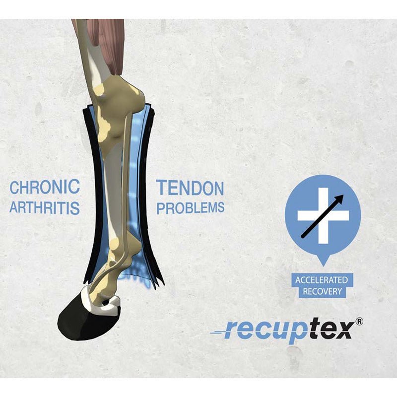 Kentucky Magnetic Recuptex Stable Bandage Pads - Nags Essentials