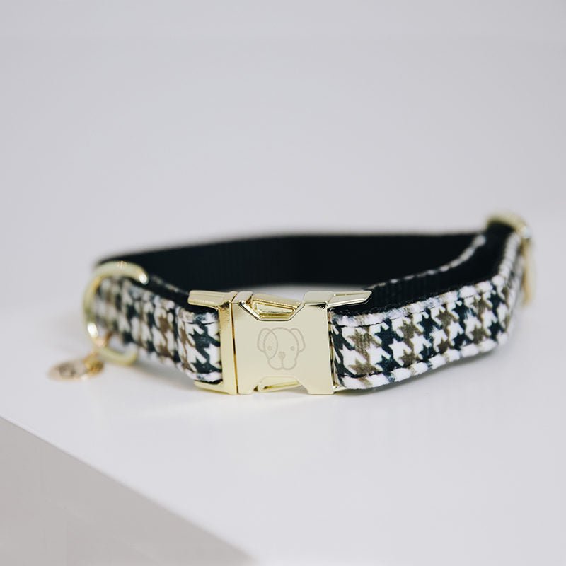 Kentucky Pied-de-Poule Dog Collar - Nags Essentials