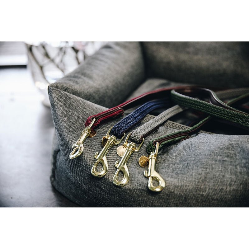 Kentucky Plaited Dog Lead - Nags Essentials