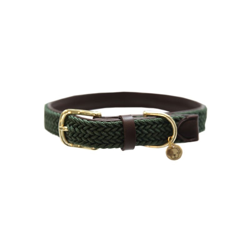 Kentucky Plaited Nylon Dog Collar - Nags Essentials