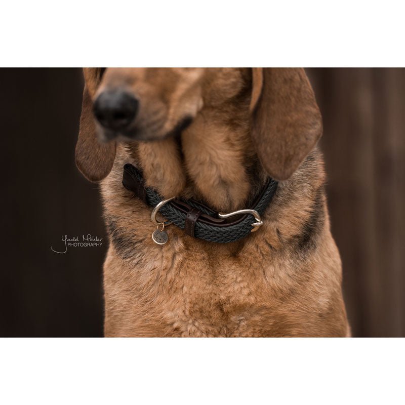 Kentucky Plaited Nylon Dog Collar - Nags Essentials