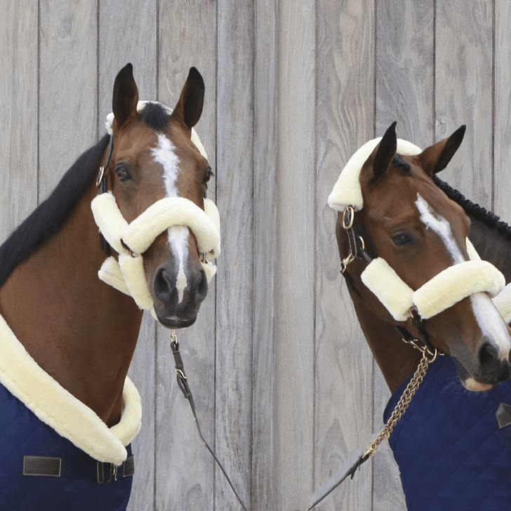 Kentucky Sheepskin Halter- Set of 4 - Nags Essentials