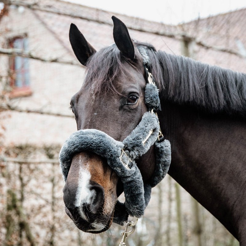 Kentucky Sheepskin Shipping Headcollar - Nags Essentials