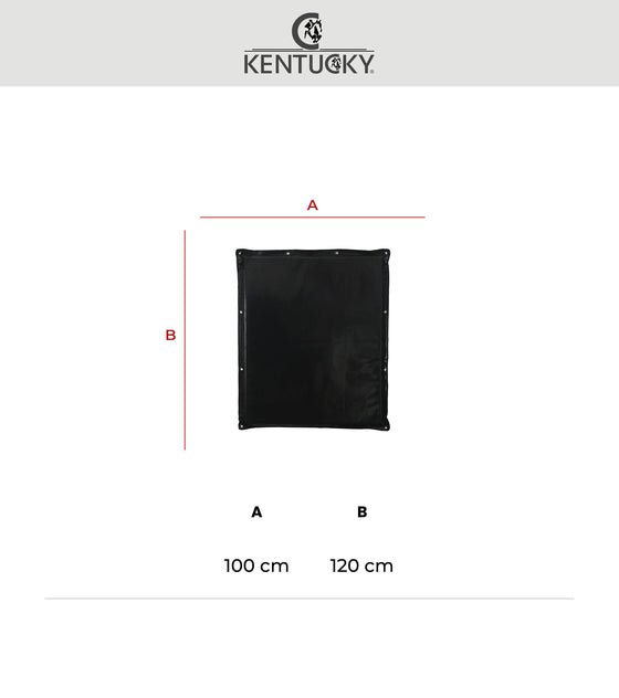 Kentucky Stable and Trailer Kick Pad - Nags Essentials