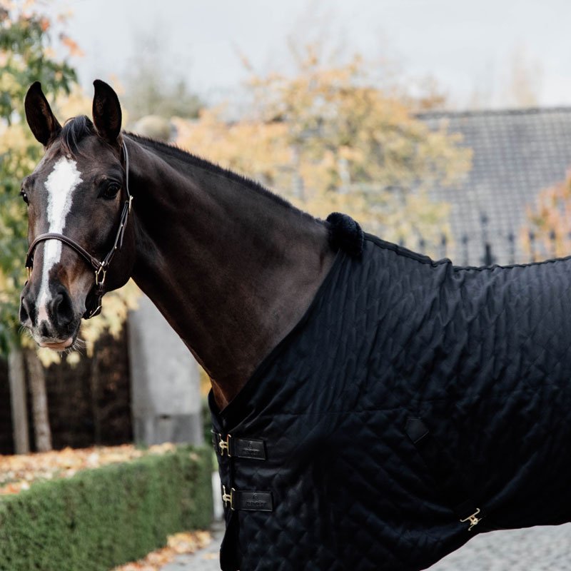 Kentucky Stable Rug 0g - Nags Essentials