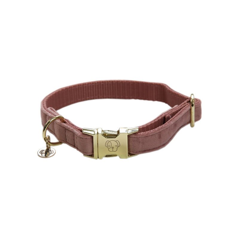 Kentucky Velvet Dog Collars - Nags Essentials