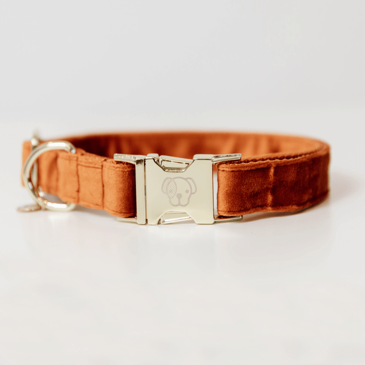 Kentucky Velvet Dog Collars - Nags Essentials