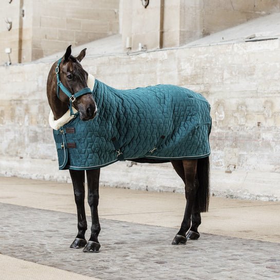 Kentucky Velvet Show Rug - Nags Essentials