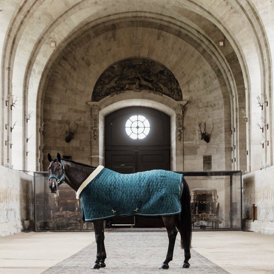 Kentucky Velvet Show Rug - Nags Essentials