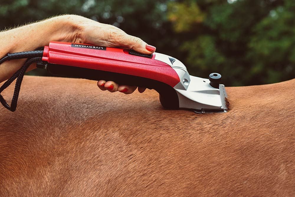 Liveryman Clipper Black Beauty Mains - Nags Essentials