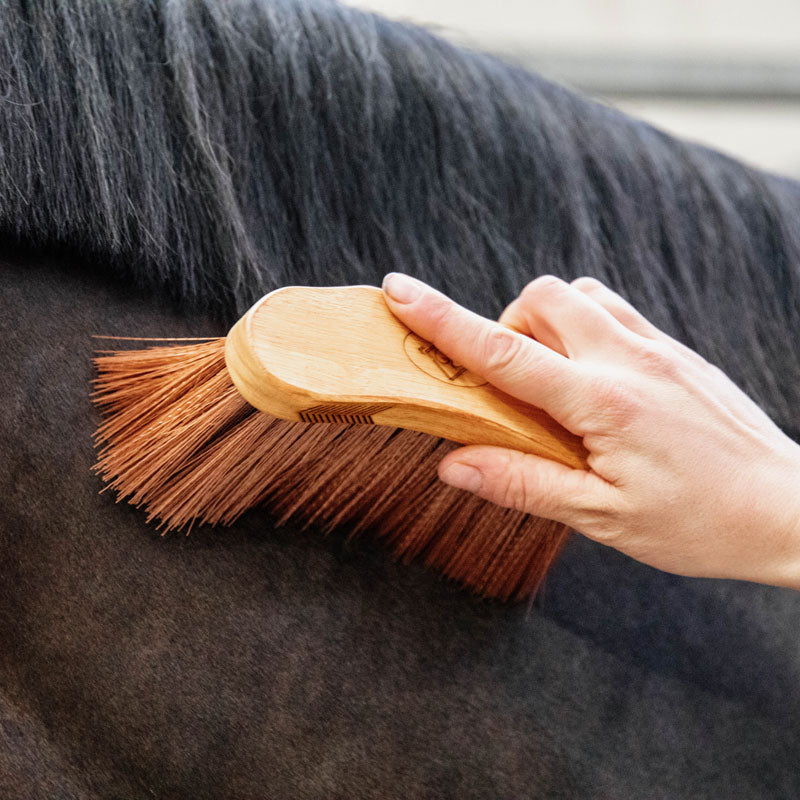 Grooming Deluxe Middle Brush Medium - Nags Essentials