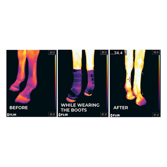 Kentucky Magnetic Recuptex Stable Boots