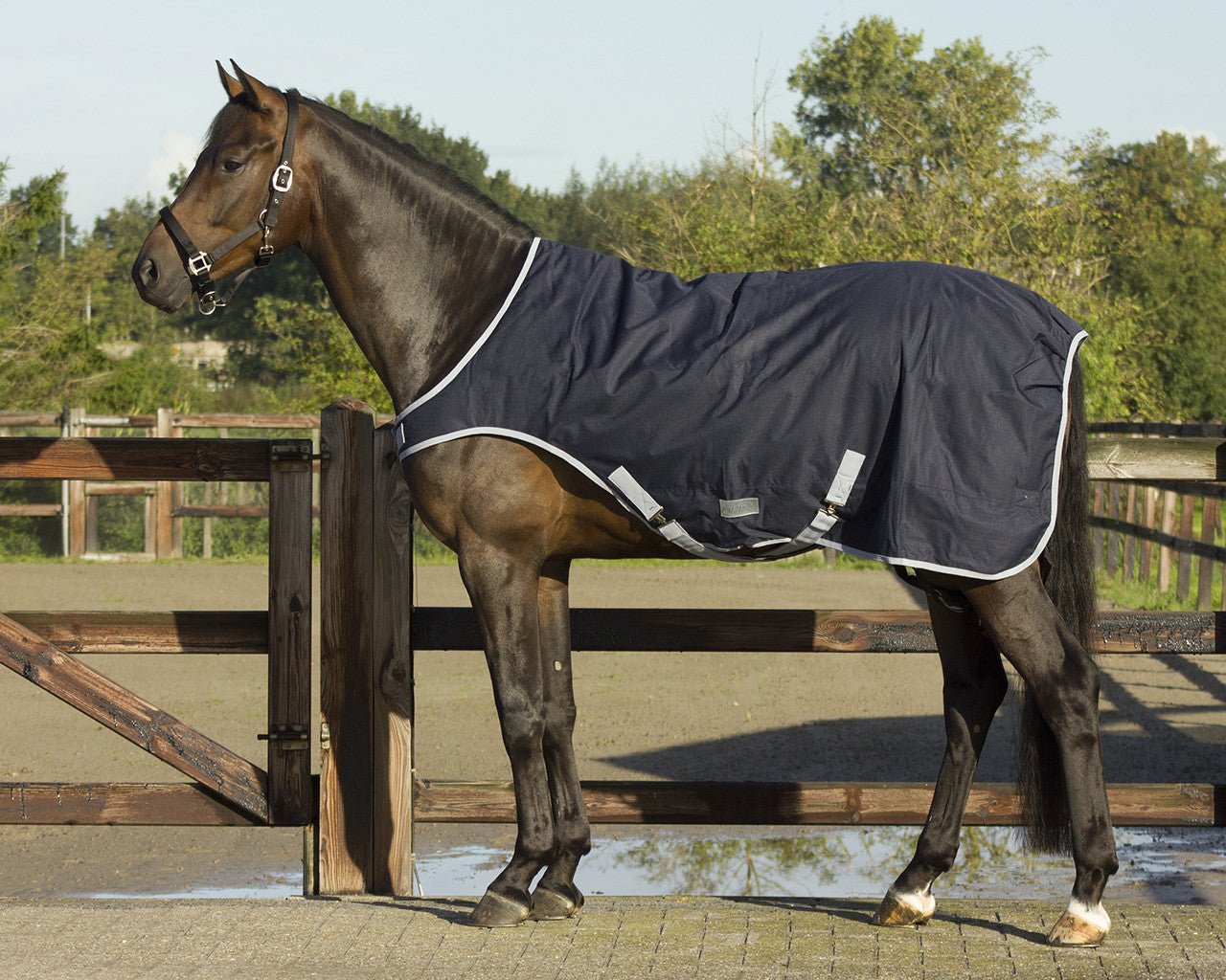 Walker Rug Waterproof 1200D 200g - Blue - Nags Essentials