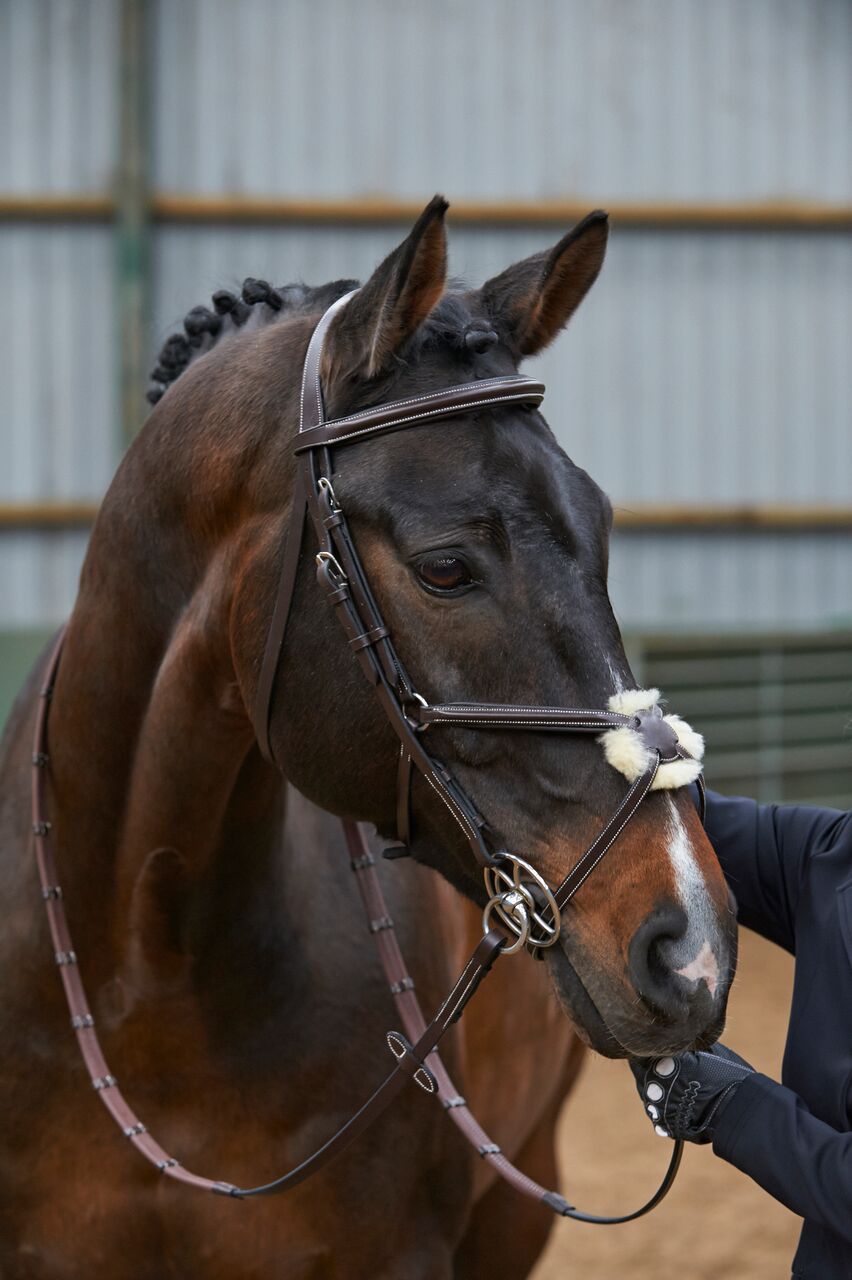 Whitaker Eastwood Mexican Bridle - Nags Essentials