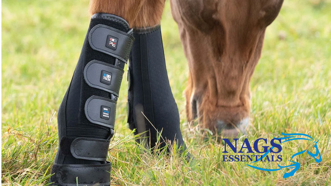 Top 5 Autumn Horse Care Mistakes (and How to Avoid Them)