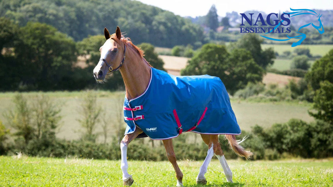 Why Lightweight Horse Rugs Are Perfect for September Weather