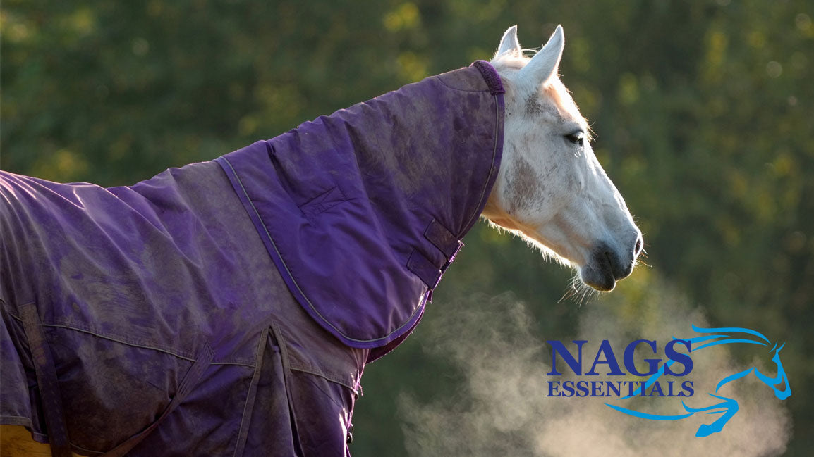 Preparing Your Horse for Colder Weather: October Rug Guide