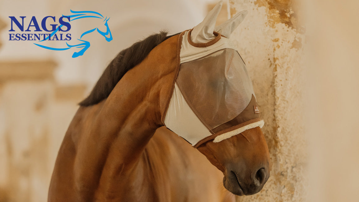 Essential Summer Gear Every Horse Owner Needs