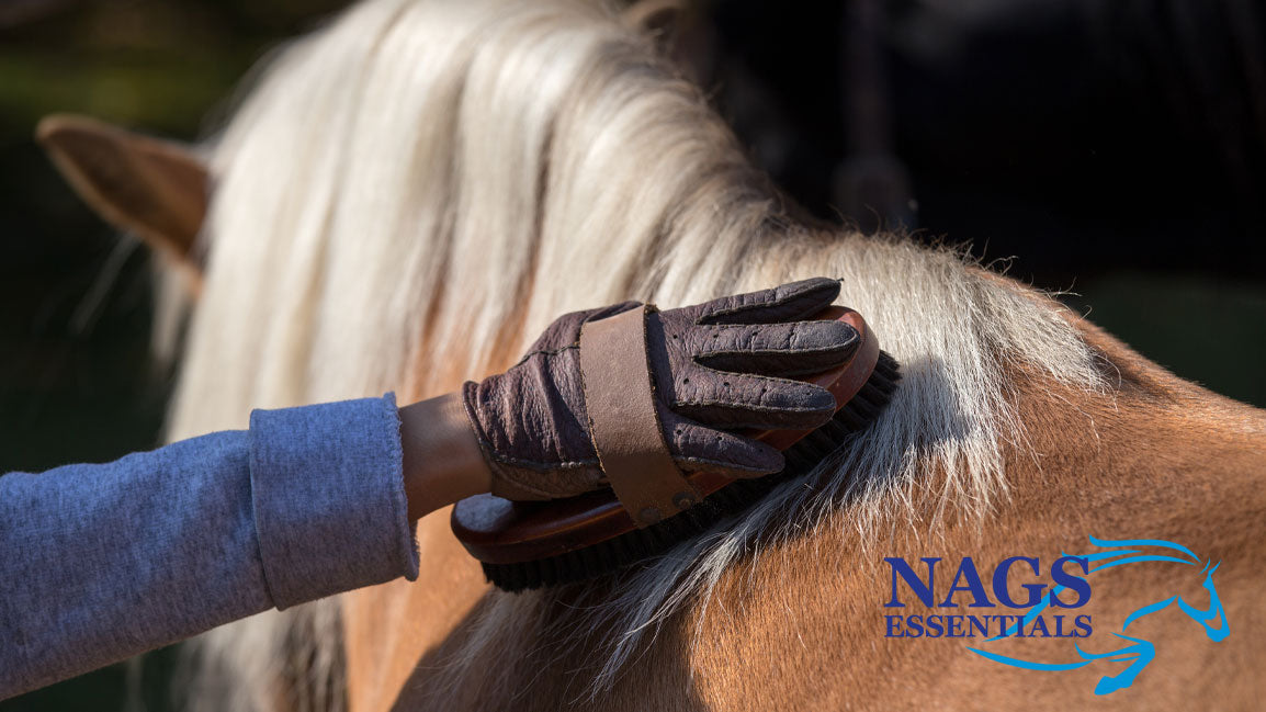 Horse Grooming Tips for the Coat Change