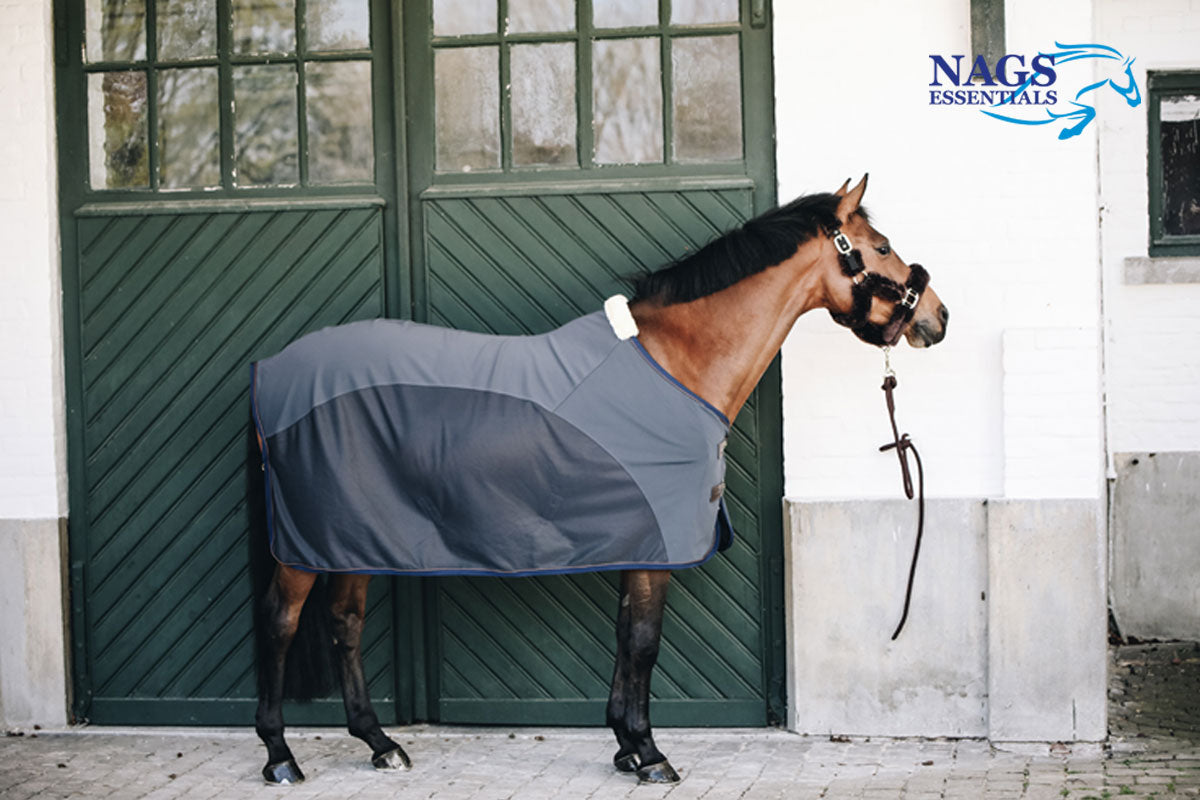 Keeping Your Horse Cool: Top Tips for Beating the Summer Heat