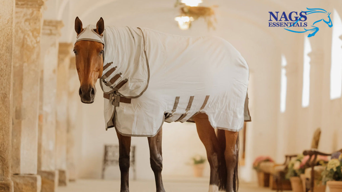 Managing Summer Turnout: Flies, Heat, and Grass Risks