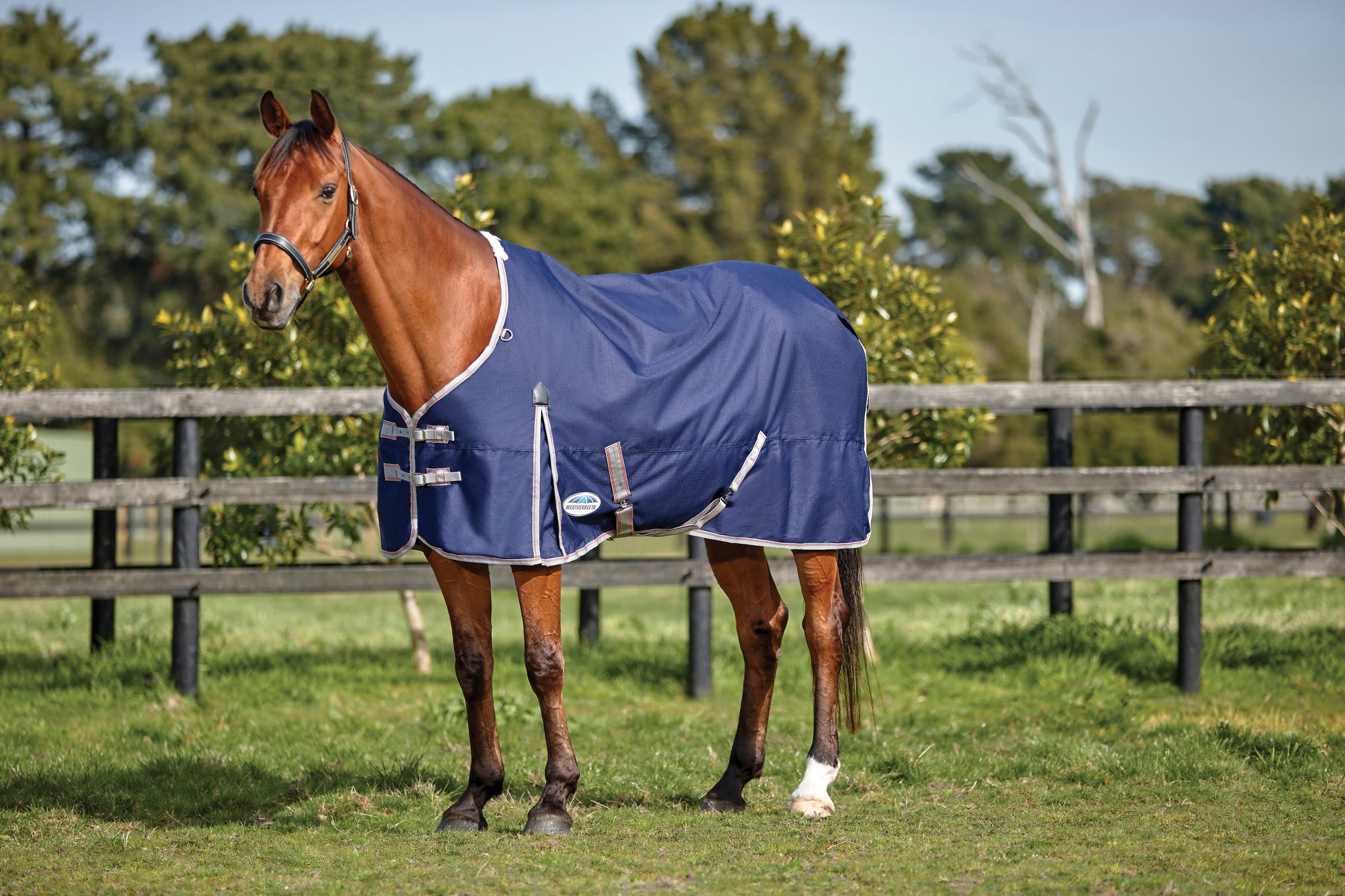 Weatherbeeta Comfitec Essential Standard Neck Lite Turnout Rug (0g) - Navy