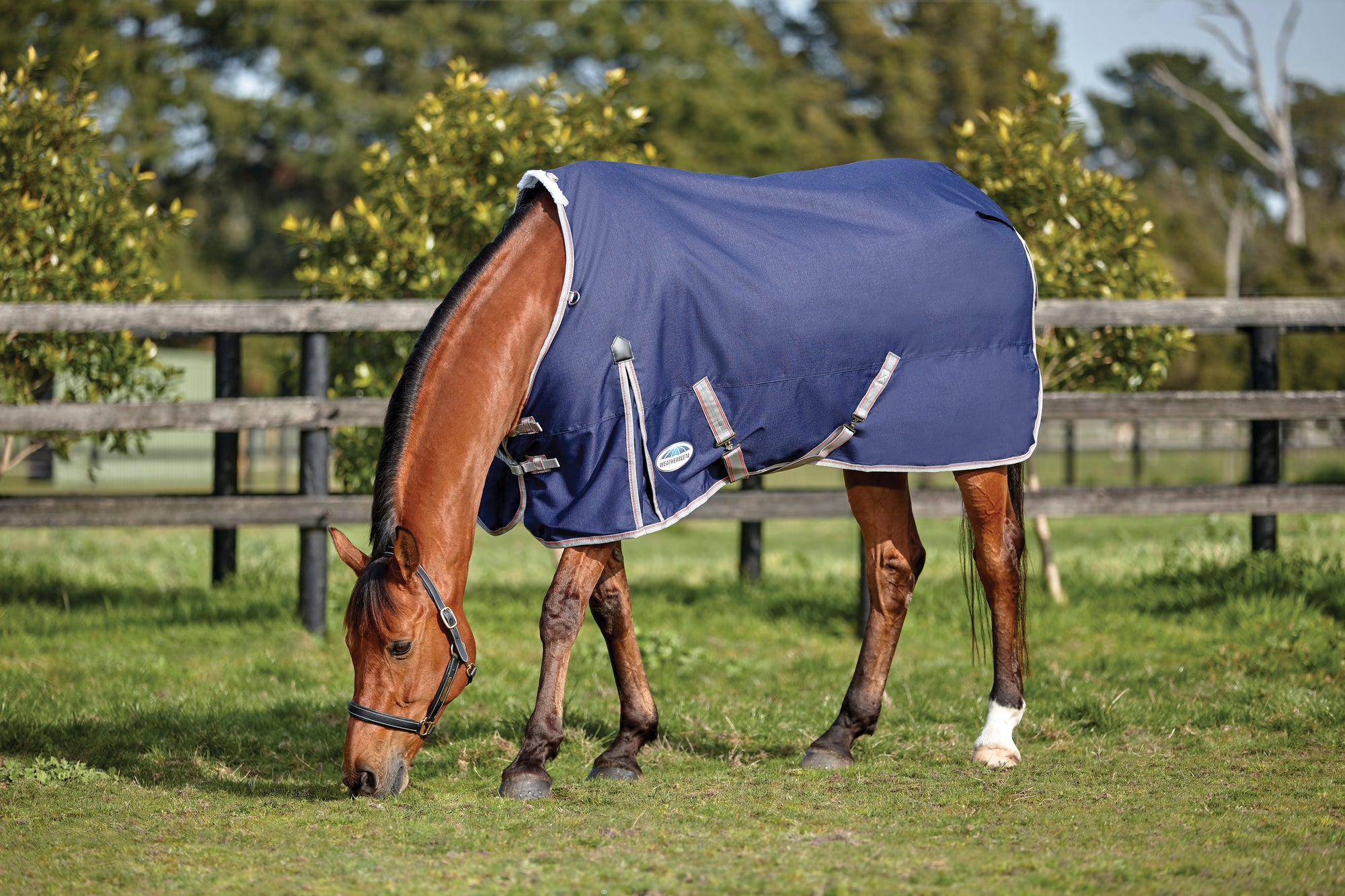 Weatherbeeta Comfitec Essential Standard Neck Lite Turnout Rug (0g) - Navy