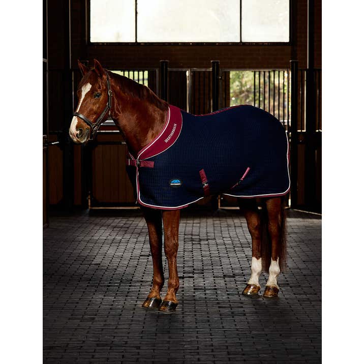Weatherbeeta Thermocell Cooler Standard Neck - Navy
