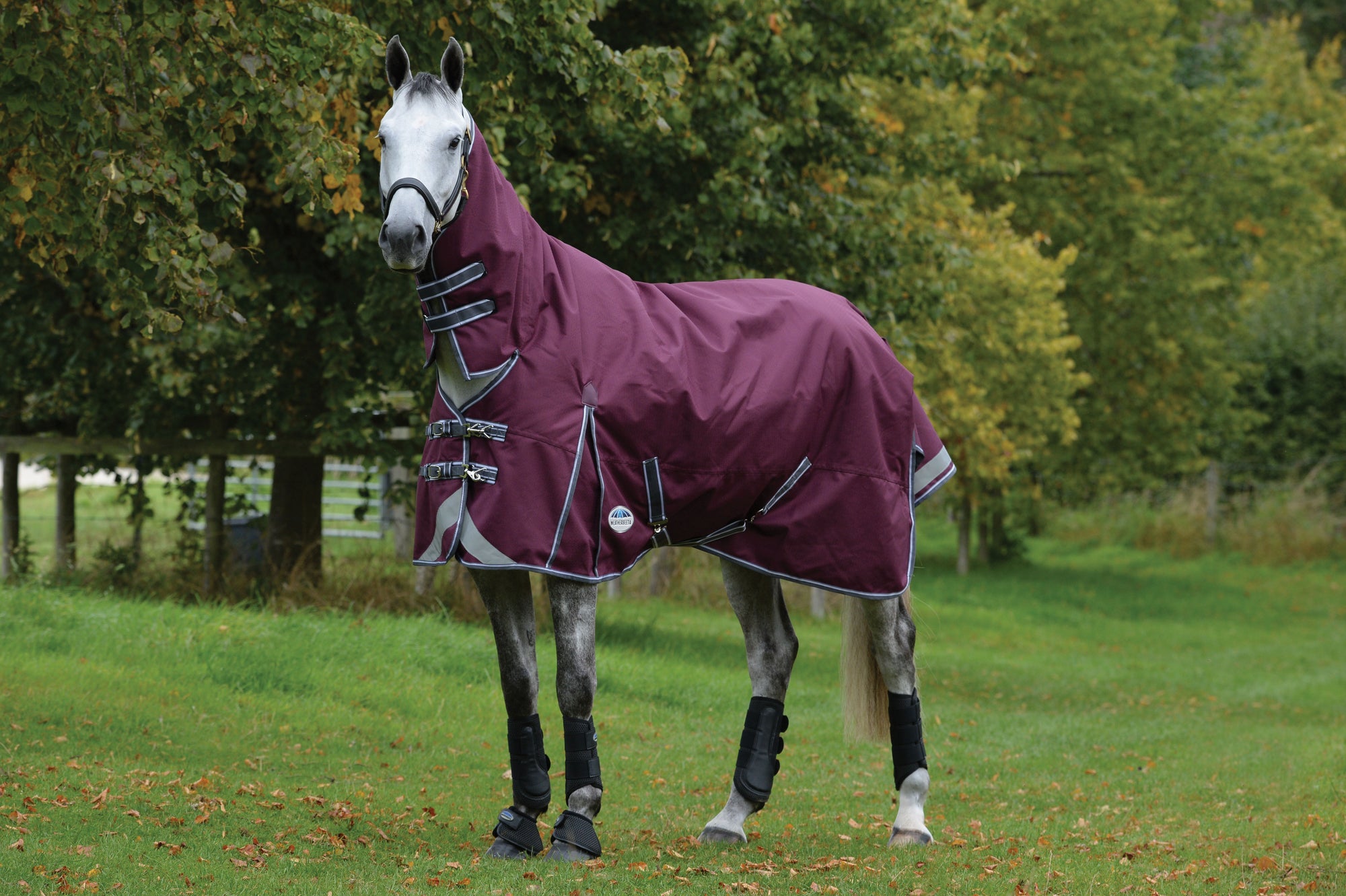 Weatherbeeta Comfitec Plus Dynamic II Combo Medium Turnout Rug (220g) - Maroon